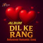 Dil Ke Rang - Romantic Song - Ruhi Raj Song Download